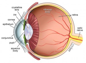 About the eye diagram