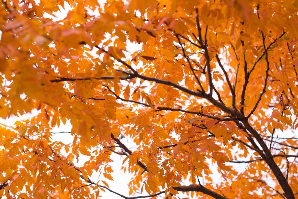 why fall is the best time to receive laser eye surgery