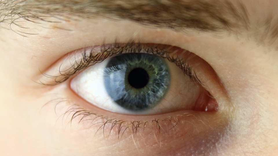 Blue eye without glasses